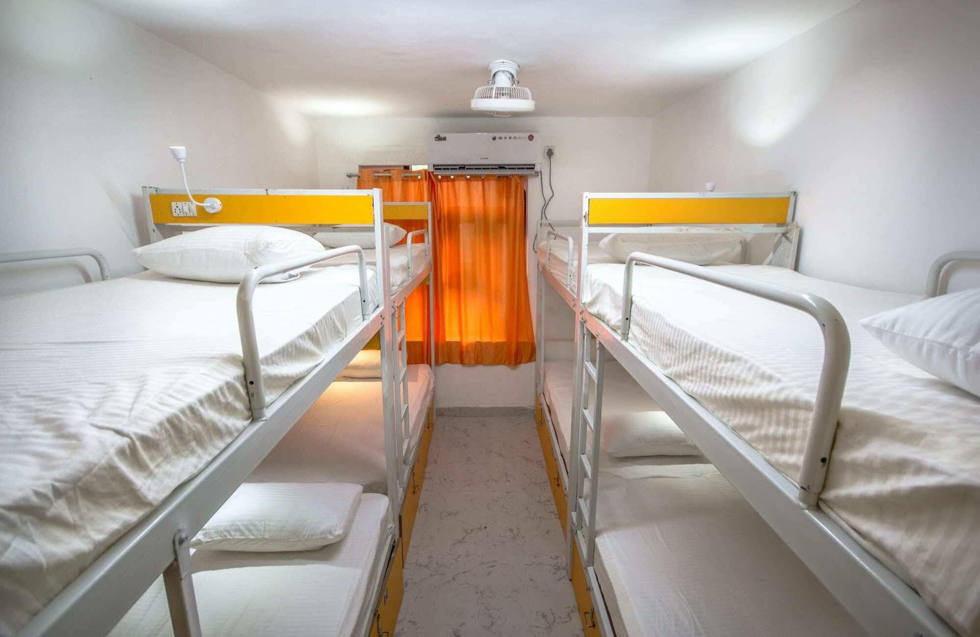 Bunk Hostel Delhi Nowe Delhi Zewnętrze zdjęcie