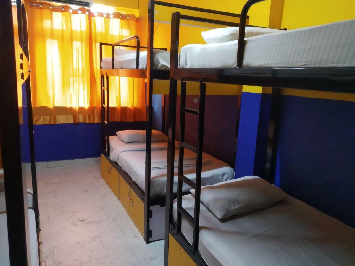 Bunk Hostel Delhi Nowe Delhi Zewnętrze zdjęcie